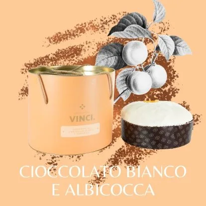 Panettone Cioccolato Bianco e Albicocca — Sapori di Vinci