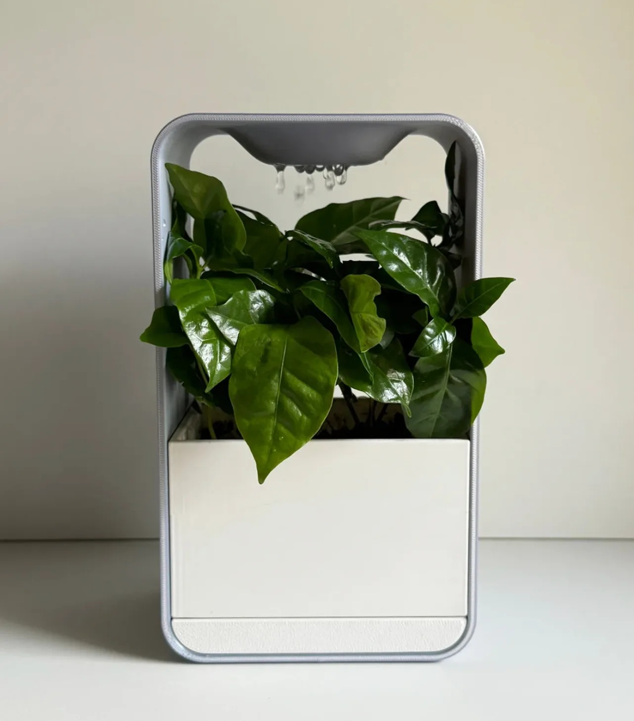 Vaso Cubo, design geometrico con innaffiatoio integrato — 3D DELIXGO STUDIO